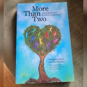 More than two book like new paperback